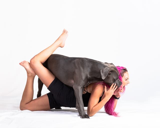 Pink haired girl posing on floor with large grey shorthaired dog